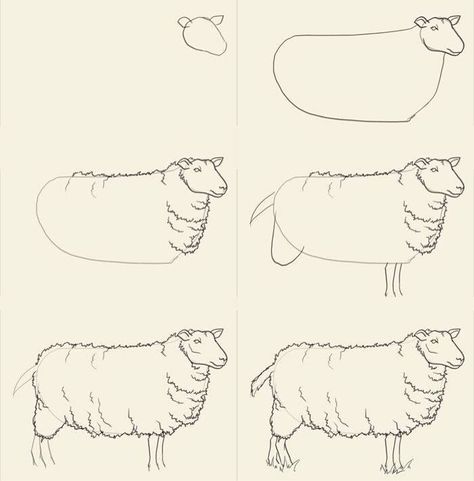 How To Draw Sheep, Draw Sheep, Drawing Tuts, Sheep Drawing, Sheep Paintings, Sheep Art, Drawing Animals, The Sheep, Game Ideas