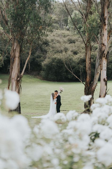 The large gumtrees and manicured rose bushes at Bramleigh Estate - picture perfect frame for that special photo Photography: 📸Silas Chau Bramleigh Estate, Tree Wedding Ceremony, Yarra Valley Wedding, Bush Wedding, Gum Tree, Outdoor Wedding Photography, Rose Bushes, Australian Bush, Yarra Valley