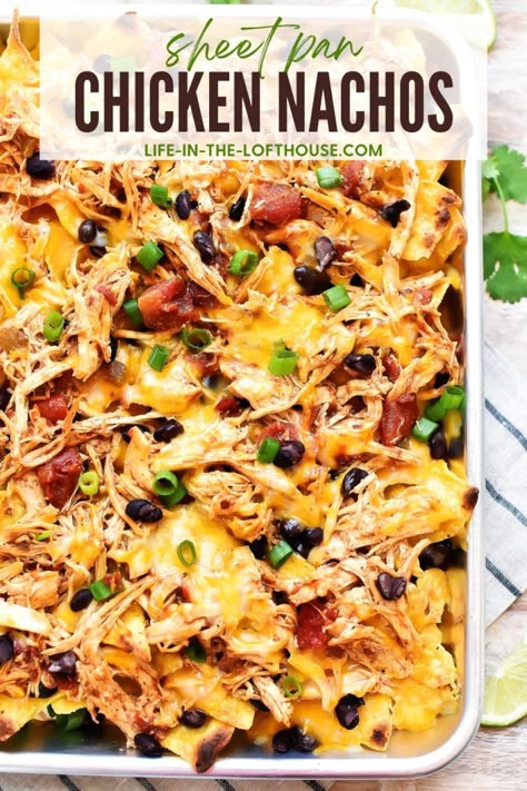 Chicken Nachos With Rotisserie Chicken, Nachos With Rotisserie Chicken, Southwest Chicken Nachos, Chicken And Black Bean Nachos, Oven Chicken Nachos, Grilled Chicken Nachos Recipe, Rotisserie Chicken Nachos Recipe, Shredded Chicken Nachos Easy, Shredded Chicken Nachos Recipe Easy