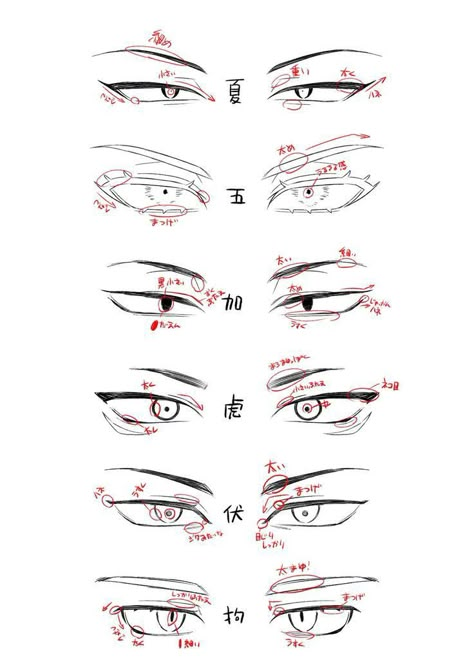 Different Types Of Eyes, Easy Eye Drawing, Manga Eyes, 얼굴 드로잉, Eye Drawing Tutorials, Drawing Tutorial Face, Eye Sketch, 얼굴 그리기, Body Drawing Tutorial