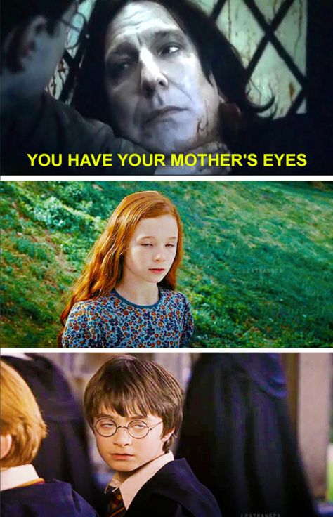 Here Are 100 Hilarious Harry Potter Jokes To Get You Through The Day Harry Potter Funny Tumblr, Harry Potter Tumblr Posts, Tumblr Movie, Harry Potter Crossover, Harry Potter Tumblr, Harry Potter Room, Harry Potter Fanfiction, Harry Potter Pictures, Harry Potter Birthday