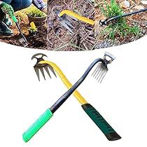 Common Garden Weeds, Garden Weeding Tools, Weeder Tool, Best Hand Tools, Pulling Weeds, Garden Rake, Weeding Tools, Garden Weeds, Garden Hand Tools