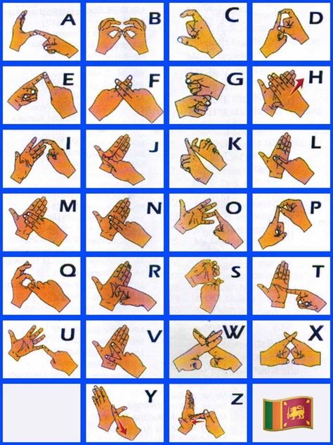 Sri Lanka Sign Language: which is the same Australia , UK , New Zealand Australian Sign Language, Indian Sign Language, Sensory Classroom, Asl Sign Language Words, Multiple Intelligences, Sign Language Words, British Sign Language, First Communion Decorations, Asl Sign Language