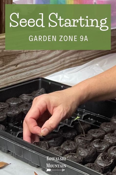 hand planting a seed with a time seedling Starting Garden, Old Fashioned Skills, Seed Starting Indoors, Flower Garden Landscape, Homestead Gardening, Garden Landscape Ideas, Seed Starting Mix, Gardening Zones, Plant Zones