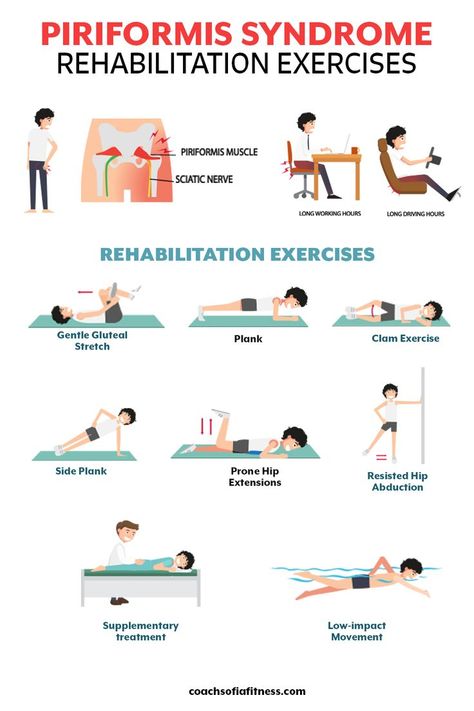 If you have piriformis syndrome that is aggravated by sitting or driving, make sure you are including some of these rehabilitation exercises into your routine. These exercises will strengthen your core, glutes, and increase hip mobility. Piriformis syndrome symptoms should decrease when you apply these exercises on a regular basis. Strengthen Piriformis Muscle, Physical Therapy Hip Exercises, Hip Pt Exercises, Paraformus Stretches, Exercises To Strengthen Hip Joints, Piriformis Strengthening Exercises, Deep Gluteal Syndrome, Hip And Glute Strengthening, Increase Hip Mobility