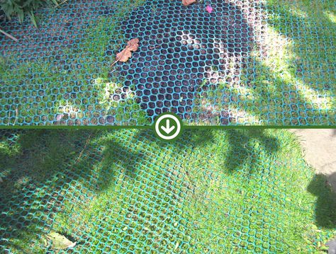 A case study from two customers who used our Grass Mesh to prevent their dogs from digging up their fresh lawn whilst still allowing the garden to have its natural green glow. Backyard Grass Alternative With Dogs, How To Grow Grass With Dogs, Best Grass For Dogs Backyards, Stop Dog From Digging Holes In Yard, Dog Proof Backyard, No Grass Backyard Ideas For Dogs, Grass Alternative Backyard For Dogs, Prevent Dogs From Digging, Dog Yard Ideas Backyards