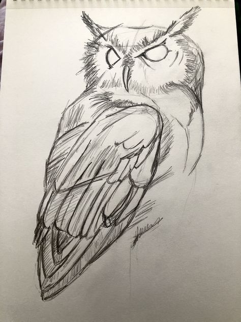 Surrealism Drawings, Animal Tattoo Ideas, Pencil Drawings Of Animals, Bird Sketch, Animal Drawings Sketches, Výtvarné Reference, Owls Drawing, Style Tattoo, Art Activity