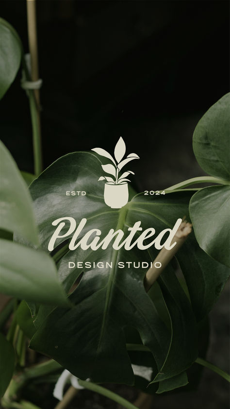 This earthy, organic brand identity design features a hand-drawn, organic logo mark (plant logo). This brand identity design was created for a plant store or plant studio. The organic logo concept includes a hand-written brand font and earthy, organic brand color palette. Plant Nursery Logo, Nursery Logo, Plant Studio, Plant Logo, Organic Branding, Plant Store, Plant Logos, Organic Logo, Brand Color Palette