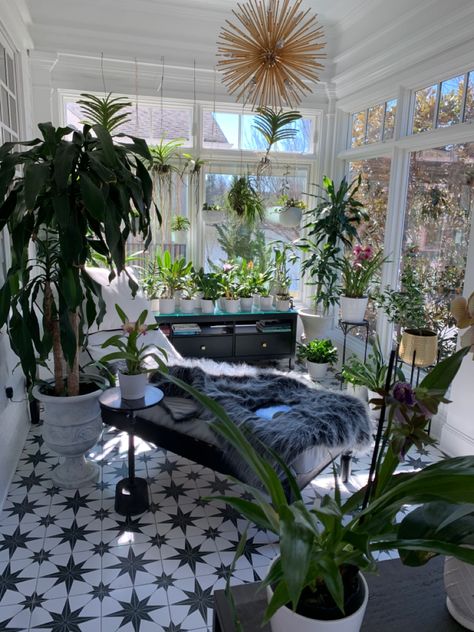 Plants room. Solarium. Conservatory. Sunroom. Orchid room. Garden room. Glass Plant Room In House, Minimalist Sunroom Ideas, Solarium Entryway, Boho Sunroom Ideas Vintage, Small Indoor Sunroom Ideas, Garden Room Ideas Indoor, Plant Sunroom Ideas, Sunroom Plants Ideas, Cosy Conservatory Ideas Sunrooms