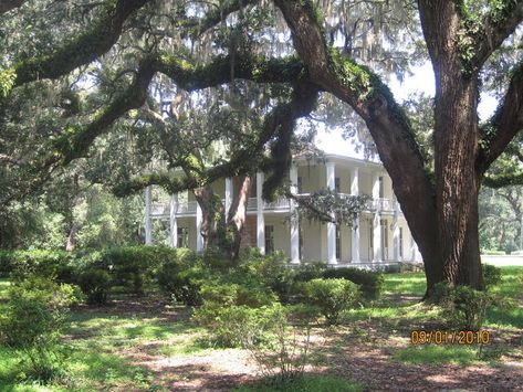 Eden Gardens State Park, Eden Gardens, Eden Garden, Florida State Parks, Garden State, Garden Of Eden, Tree Wedding, Photo Location, Old House