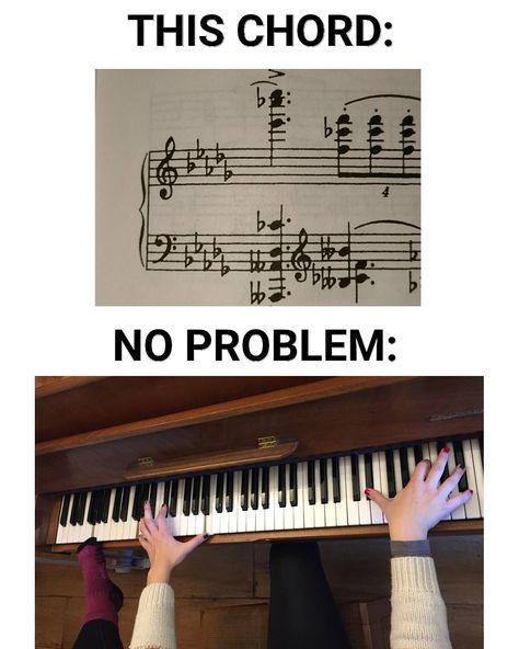 27 classical music memes that will completely define your life - Classic FM Percussion Humor, Classical Music Quotes, Piano Memes, Classical Music Humor, Classical Music Poster, Musician Jokes, Musical Jokes, Band Problems, Music Puns