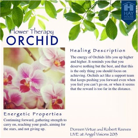 Orchards for continuing forward, gathering strength to reach goals | hardy creatures that they are | Flower Therapy Orchid Healing @Angela Haworth Orchid Flower Meaning, Flowers Magical Properties, Passion Flower Magical Properties, Herb Tips, Spiritual Tea, Orchid Magical Properties, Spiritual Relationships, Butterfly Pea Flower Magical Properties, Magical Properties Of Hibiscus