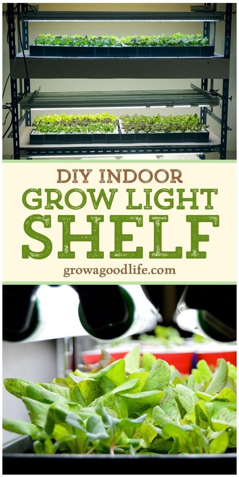 Diy Indoor Seed Starting, Diy Indoor Garden Vegetables, Diy Indoor Vegetable Garden, Diy Indoor Green House, Indoor Vegetable Gardening Diy, Diy Grow Light Indoor Plants, Indoor Growing Setup, Starting Seeds Indoors Diy, Grow Light Shelf