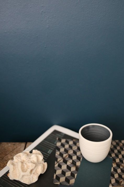 A Moody Blue Makeover | Design Hunter | Bloglovin’ Dulux Indigo Shade, Paint Charts, Autumn Palette, Dulux Paint, Girl Guide, Downstairs Loo, Good Color Combinations, Diy Store, Moody Blues