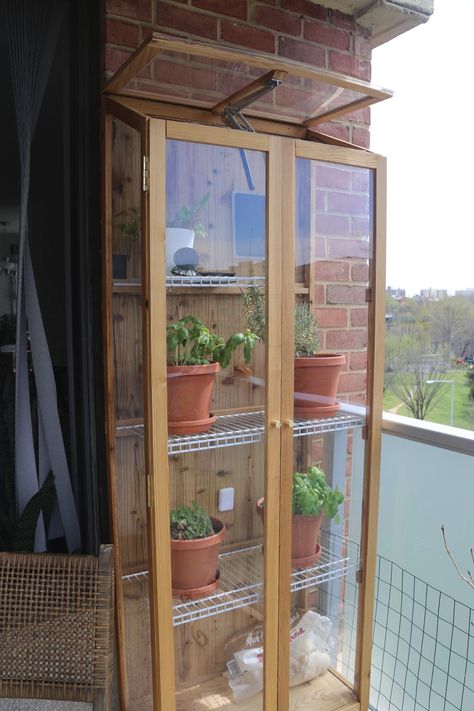 Greenhouse Cabinet Outdoor, Fold Down Greenhouse, Diy Porch Greenhouse, Greenhouse Plant Display, Diy Balcony Greenhouse, Small Porch Greenhouse, Apartment Greenhouse Balcony, Apartment Patio Greenhouse, Diy Small Greenhouse Ideas