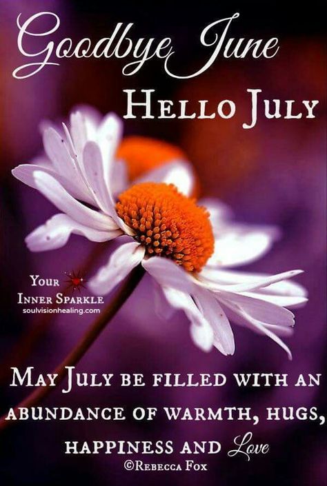 Good bye June.... hello July Bye June Hello July, Happy New Month Quotes, Welcome July, Its My Birthday Month, July Quotes, Monthly Quotes, Hello July, Days And Months, Good Bye