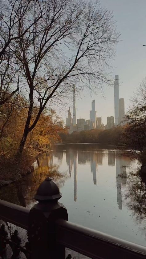 ethan barber • new york city on Reels | Doris Day · Autumn Leaves Ethan Barber, Seasons Changing, Winter Begins, Shot On Iphone, Autumn Leaves, York City, New York City, How Are You Feeling, New York