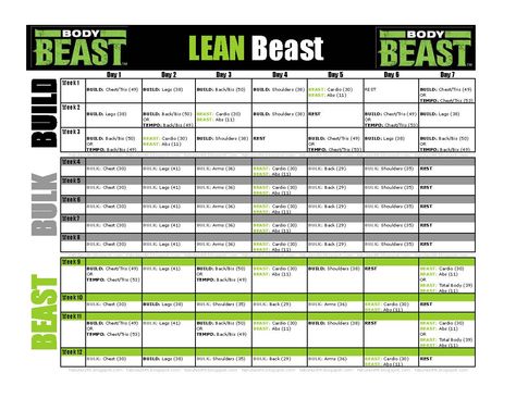 Workout schedule for Body Beast's LEAN Beast (for those who want to add muscle but also lose some weight). Also includes routine length! Body Beast Workout Schedule, Body Beast Meal Plan, Body Beast Workout Sheets, P90x Workout Sheets, Lean Workout, Chest And Back Workout, Workout Sheets, Beast Workout, Body Beast