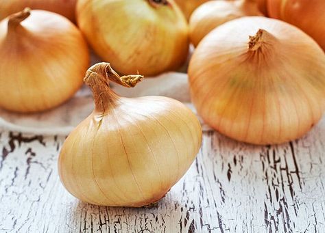 Group of large sweet onions Onion Casserole, Types Of Onions, Growing Onions, Hungarian Cuisine, Bawang Bombay, Best Casseroles, Vegetable Plants, Living Off The Grid, Kitchen Smells