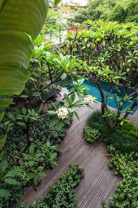 Bali Garden, Tropical Landscape Design, Tropical Garden Design, Jungle Gardens, Tropical Backyard, Forest Garden, Outdoor Gardens Design, Tropical Landscaping, Pool Landscaping