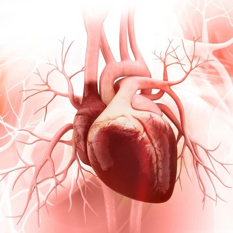 Researchers show that by stimulating the growth of new blood vessels, pericytes have the potential to restore blood supply to damaged heart muscle after a heart attack. D Ribose, Congenital Heart Defect, Heart Defect, Congenital Heart, Heart Function, Heart Muscle, Alternative Treatments, Shortness Of Breath, Chest Pain