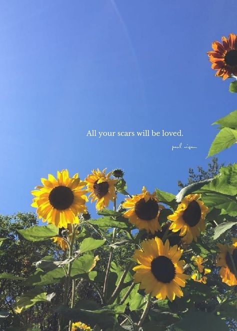 Dear Diary Quotes, Sunflower Quotes, Excellence Quotes, One Liner Quotes, Love Truths, Dear Self Quotes, Love Smile Quotes, Flower Quotes, Christian Quotes Inspirational