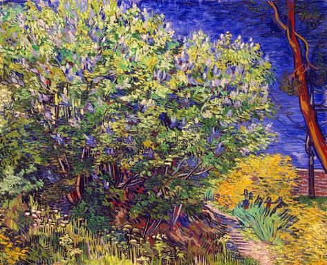 Lilac Bush, Lilac Bushes, Vincent Van Gogh Paintings, Hermitage Museum, Van Gogh Paintings, Post Impressionists, Big Canvas Art, Great Big Canvas, Vincent Van Gogh