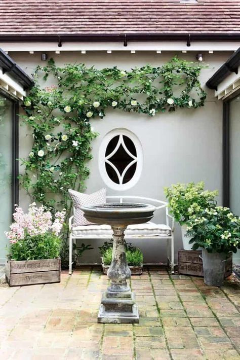 16 Insanely Beautiful Courtyard Garden Ideas With A Wow Factor Design Per Patio, Trachelospermum Jasminoides, Small City Garden, Townhouse Garden, Small Courtyard Gardens, London Garden, Small Outdoor Spaces, City Garden, Back Gardens