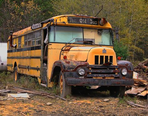 Old School Bus, School Buses, Wheels On The Bus, Vintage School, International School, School Bus, Buses, Bass, Street View