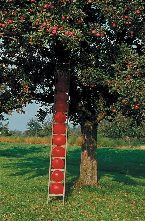 Roman Signer Ladder To Heaven, Ladder Stairs, Stair Ladder, Villa France, Anthony Kiedis, Alberto Giacometti, Water Into Wine, Winterthur, Take A Shot