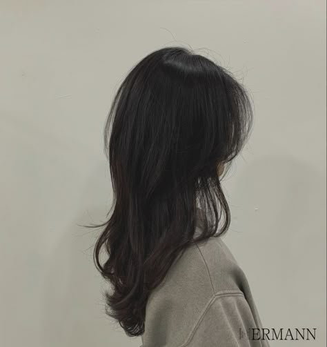 90 Degree Layered Haircut, Long Layered Hair Korean Straight, Long Layered Wolf Cut, Asian Layered Hair, Ponytail Braid Hairstyles, Hairstyle For Short Hair, Hair Colour Ideas, Hairstyle For Short, Ponytail Braid