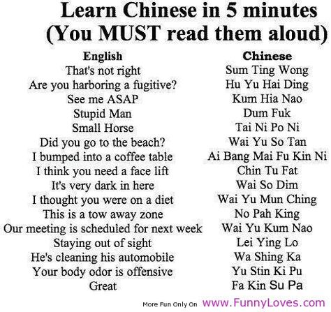 Funny Chinese Quotes, One Liner Jokes, English Jokes, How To Speak Chinese, Joke Of The Day, Funny Jokes For Adults, Learn Chinese, Jokes Quotes, Good Advice