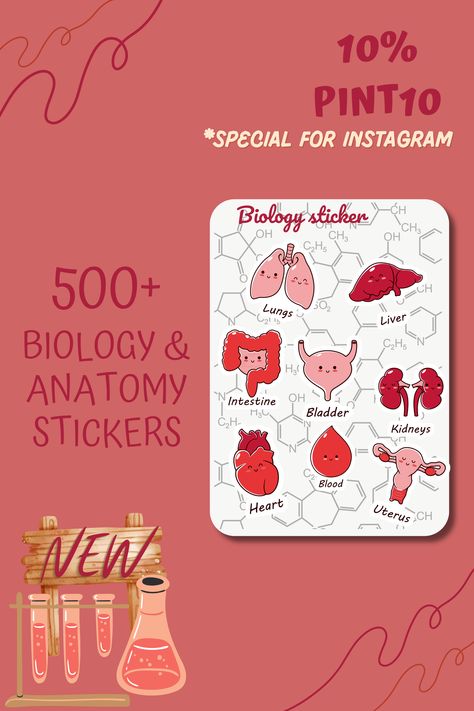 Biology Stickers Goodnotes, Anatomy Stickers Printable, Anatomy Stickers Goodnotes Free, Notes Biology Aesthetic, Biology Stickers Printable, Aesthetic Anatomy, Biology Stickers, Cute Anatomy, Stickers Science