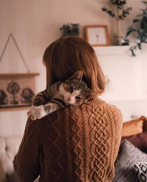 Cat Family Portrait, Cat Photoshoot, Holding A Cat, Animal Photoshoot, Photographie Portrait Inspiration, Morning Funny, Good Morning Funny, Cat Family, Cat Photography