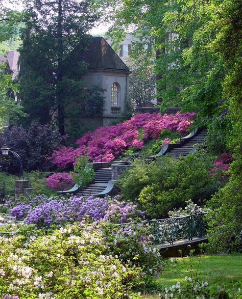 Once owned by Henry Francis du Pont, a famed horticulturist and decorative arts expert, Winterthur‘s (pronounced “winter-tour”) gardens are a great destination for horticultural enthusiasts and families Interestingly, the garden was designed with the help of landscape architect Marion Coffin and it is one only a few surviving Wild Gardens. From the Winterthur Website:   “William Robinson’s … Winterthur Gardens, Monochromatic Flowers, Taman Air, Winterthur, Have Inspiration, Gorgeous Gardens, Garden Cottage, English Garden, Shade Garden