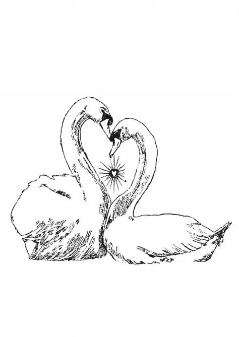 Swans Kissing Tattoo, 2 Swans Drawing, Swan Heart Drawing, 2 Swans Tattoo, Flying Swan Tattoo, Simple Swan Tattoo, Two Swans Tattoo, 2 Swans, Swan Drawing