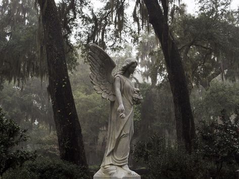 Southern Gothic Decor, Southern Gothic Aesthetic, Gothic Fiction, Angel Aesthetic, Angels Among Us, Southern Gothic, Gothic Aesthetic, Beautiful Views Video, Vintage Punk