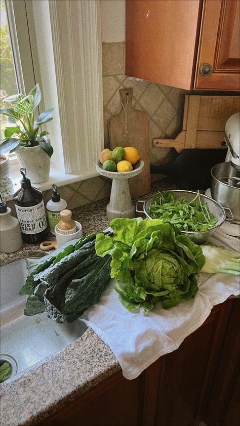 Urban Homestead Aesthetic, Aesthetic Kitchen Sink, Farmers Market Produce, Kitchen Sink Decor, Sink Decor, Kitchen Aesthetic, Aesthetic Kitchen, 2023 Vision, Kitchen Inspo