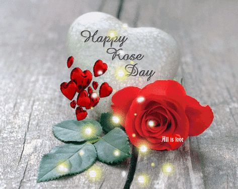 via GIPHY Happy Rose Day Wallpaper, Happy Valentines Day Sms, Happy Valentine Day Video, Rose Day Pic, Rose Day Wallpaper, Rose Day Shayari, Roses Are Red Poems, Bunch Of Red Roses, Happy Rose Day