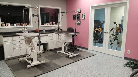 Pink and grey groom room Dog Grooming Salon Floor Plan, Pink Grooming Salon, Pink Dog Grooming Salon, Dog Salon Ideas, Home Dog Grooming Salon Ideas, Grooming Salon Ideas Design, Grooming Salon Ideas, Dog Grooming Salon Ideas, Dog Grooming Salon Decor