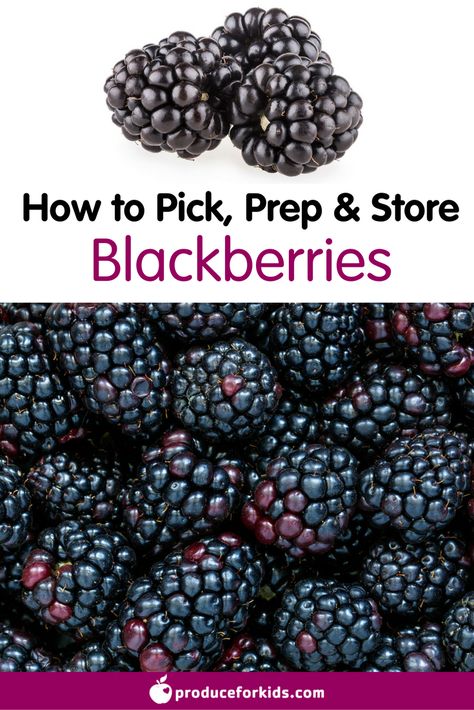 How to Pick, Prep & Store Blackberries + nutrition information, recipes, fun facts and more! Store Produce, Watermelon Nutrition Facts, Broccoli Nutrition, Nutrition For Runners, Nutritional Cleansing, Nutritional Information, Nutrition Facts Label, Turmeric Benefits, Nutrition Guide