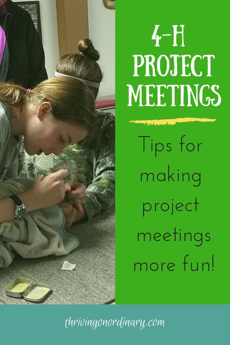 Games For 4h Meetings, 4h Games Activities, 4h Group Activities, 4h Lessons Ideas, 4h Leader Ideas, 4h Meeting Activities Fun, 4 H Presentation Ideas Fun, 4h Group Project Ideas, 4h Presentation Ideas Kids