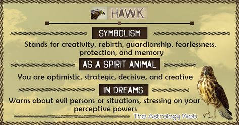 What Does a Hawk Symbolize A hawk symbolizes illumination, creativity, rebirth, guardianship, strategy, protection, memory, fearlessness, determination, teamwork, opportunity, swiftness, wisdom and truth. Its ability to see long distances marks its clear vision, attention and increased spiritual awareness. Further, being a solar animal, it embodies brilliance, clarity, energy, and unification. Hawk Symbolism According to Types … Hawk Meaning, Hawk Symbolism, Angel Connection, Hawk Spirit Animal, Animal Totem Spirit Guides, Spirit Animal Meaning, Animal Meanings, Spirit Signs, Spirit Animal Totem