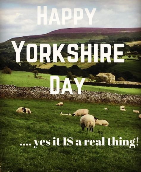 Yes it’s Yorkshire Day ( I don’t recall ever having an Essex or Suffolk day when I lived there??)… A celebration of all things Yorkshire and our local WI will be dishing up a Yorkshire Pud lunch along with fruitcake and of course Wensleydale cheese…. There will be a few flags and of course bunting and general conviviality up in our Dale! Enjoy Y’all! #yorkshireday #wensleydalecheese #coverdale #yorkshirepudding #rurallife #countrylife #community #womensinstitute #cake #loveyorkshire Wensleydale Cheese, Yorkshire Day, Womens Institute, Saving The Planet, Yorkshire Pudding, Rural Life, July 31, My Small Business, Fruit Cake