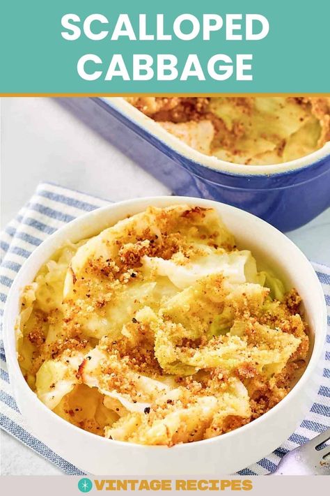 Scalloped Cabbage Casserole, Scalloped Cabbage Recipes, Scalloped Cabbage, Creamed Cabbage, Cabbage Side Dish, Breadcrumb Topping, Cabbage Casserole Recipes, Creamy Cheese Sauce, Bacon Fried Cabbage