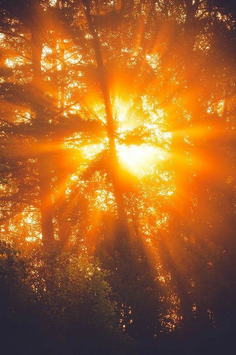 Golden Rays Of Sunshine, Golden Orange Aesthetic, Gamboge Color Aesthetic, Bright Sun Aesthetic, Gamboge Aesthetic, Sun Aethstetic, Sunbeams Aesthetic, Ray Of Sunshine Aesthetic, Orange Lighting Aesthetic