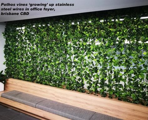 Wall Climbing Plants, Pothos Vine, Creepers Plants, Artificial Green Wall, Garden Vines, Office Plants, Climbing Vines, Plant Decor Indoor, Interior Garden