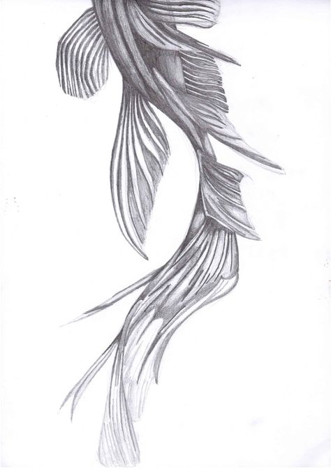 Fish Tail Drawing Fish Tail Illustration, Fish Drawing From Above, Fish Tail Drawing, Fish Tail Tattoo, Sea Illustration Art, Fish Tails, Tail Drawing, Life Drawings, Sea Illustration