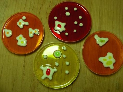 🎃PETRI DISH JELLO SHOTS!!! As a graduate student in the sciences, I appreciate the combination of work and play Halloween Food Dishes, Cream Jello, Jello Shots Recipe, Jello Gelatin, Mad Scientist Party, Scientist Party, Lab Week, Science Birthday, Jello Shot Recipes