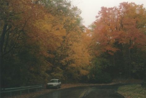 90s Autumn, Fall Mood Board, Season Of The Witch, Fall Feels, Fall Is Here, Best Seasons, Yellow Leaves, Autumn Cozy, Autumn Aesthetic